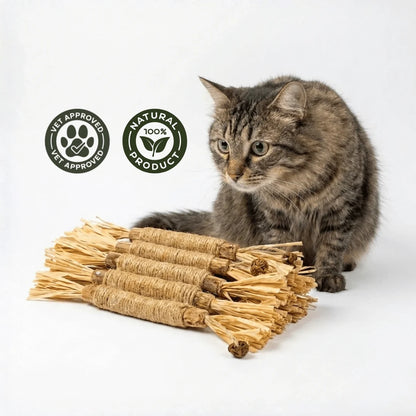 MieziSticks — Natürliche Matatabi Zahnpflege-Sticks für Katze