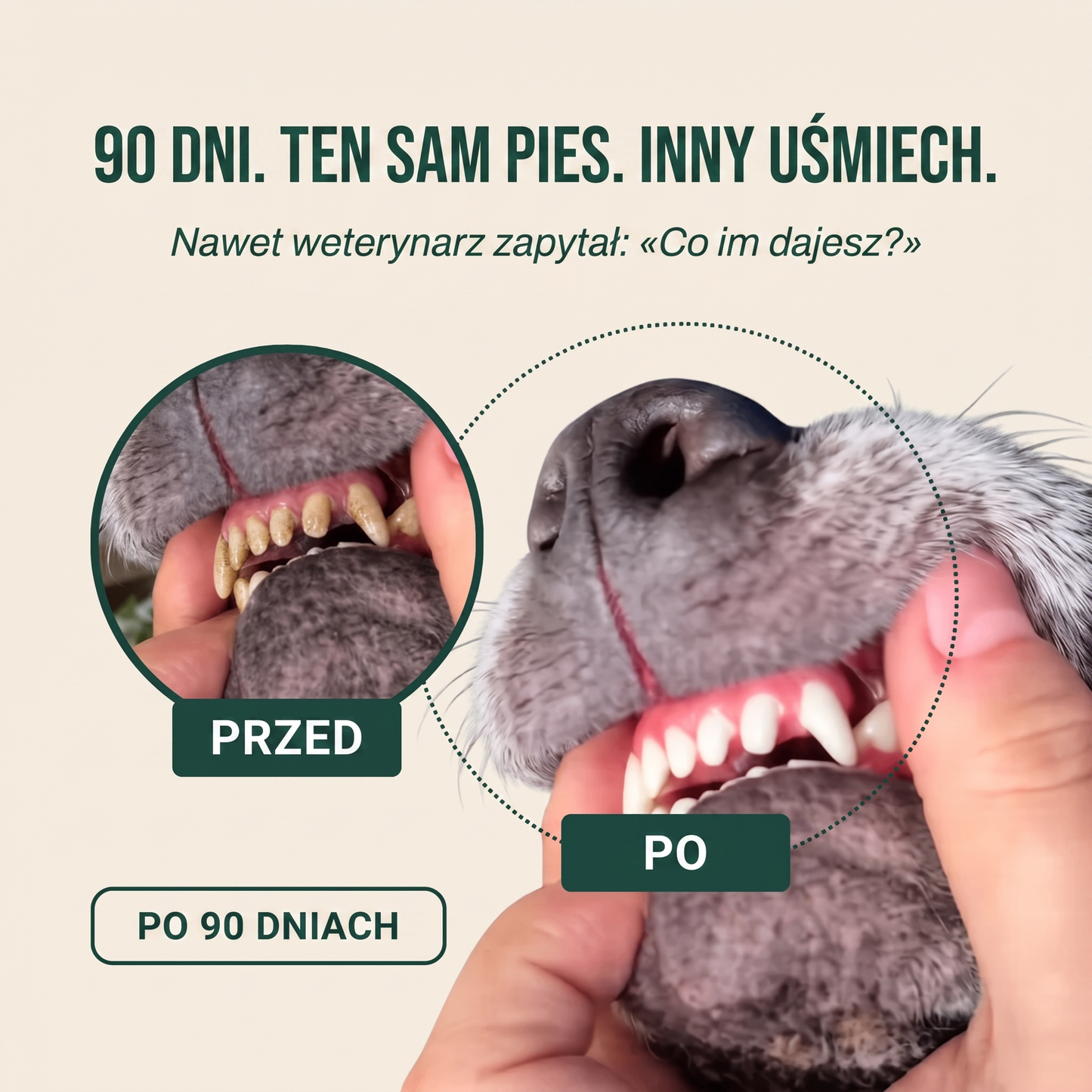 PureZąb — Spray Dentystyczny dla Psów