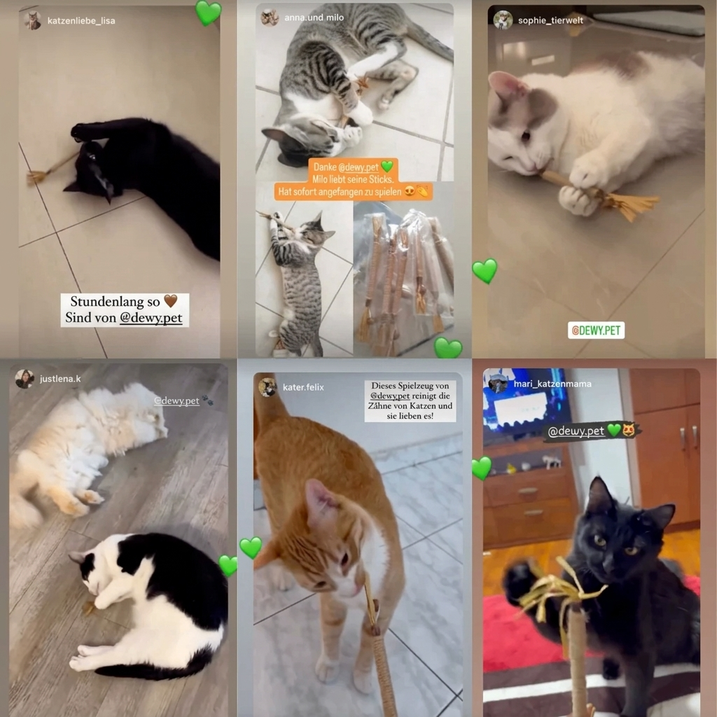 MieziSticks — Natürliche Matatabi Zahnpflege-Sticks für Katze